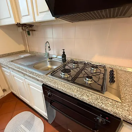 Flowers * Ροβίγκο