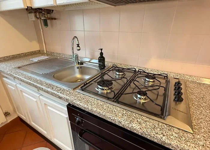 Flowers * Ροβίγκο